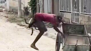 Funny Misbehave