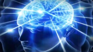 Funny Video 500 IQ Moments #shorts #viral #funny