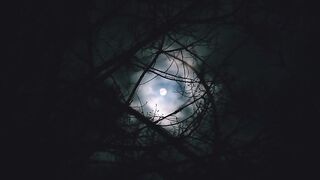 Full Moon