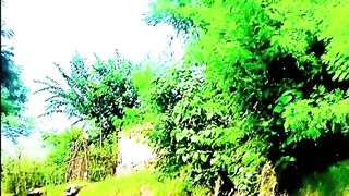 Beautiful Green Road