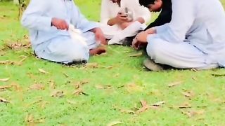 Funny tik tok vedio
