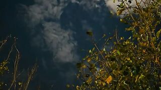 Islamic video heart touching naat