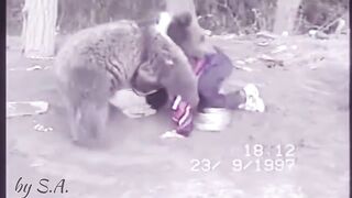 Khabib Nurmagomedov vs. Bear