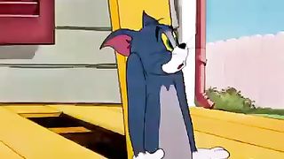 Amazing cartoon Cat VS Rat