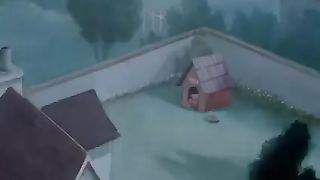 New cartoon video series ????