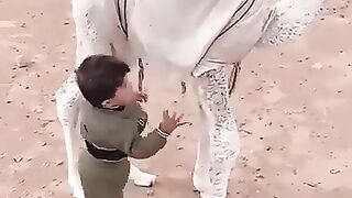The camel ???? drink coco cola