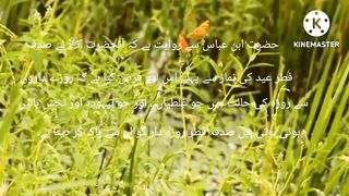 Hazrat Muhammad Saw ki Hadees