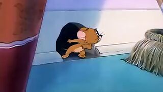 New Cat VS Rat cartoon series amazing
