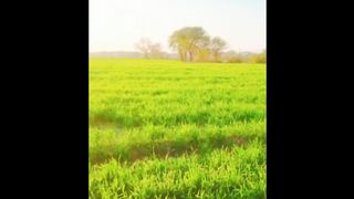 Beautiful village ???? Pakistan