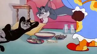 Amazing cartoon video cat VS Rat