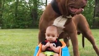 CHILD IN DOG PROTECTION