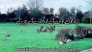 Tilawat e Quran Surah Ale Imran Ayat 14 _