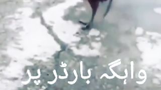 VID-20190515-WA0733 2023