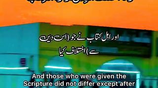 Tilawat e Quran Surah Ale Imran Ayat 19