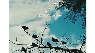 Surt e yaseen