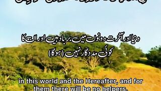 Tilawat e Quran Surah Ale Imran Ayat 22-24