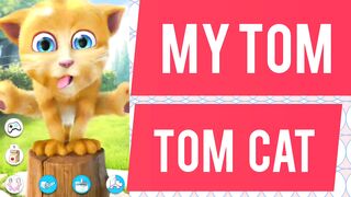 cat game video