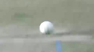Cricket cricket