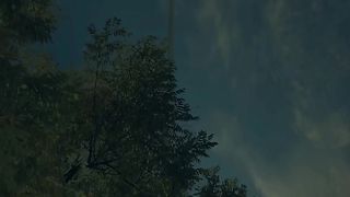 Viral video F12