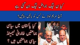 Why Maryam Nawaz is angry on N League