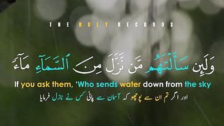 Heart Touching Recitation of Quran https://youtube.com/shorts/nejdpxP3_Ao?feature=share