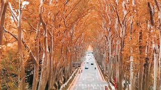 Beautiful view of nature 51