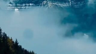 Beautiful view of nature 52