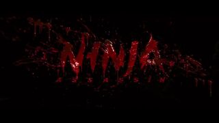 Ninja fighting
