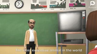 Expensive animal in the ????