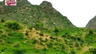 Rain In Thar Sindh
