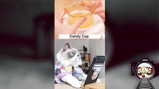 Funny_Animals_Videos_2022_-_Cute_Animals_Video_#54(360p).