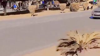 Best songs short video so beautiful ????