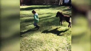 Funny Animal Videos #5