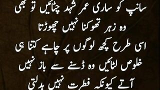 quotes||urdu quotes||