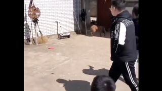 Amusing videos , funny videos