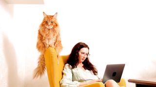 Cat video#animalvideo