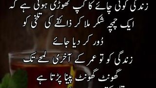 quotes||urdu quotes||