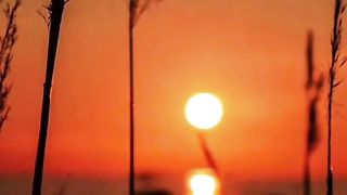 Bayyan entertainment,viral video,tiktok,funny,