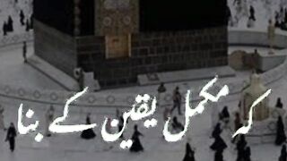 Ham musalman hay