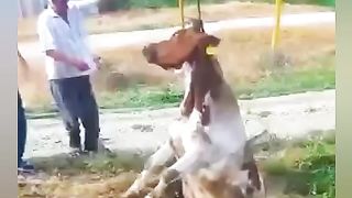 Awesome video ????