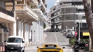 Monaco's Billionaire's secret must know