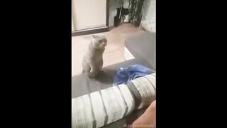 Выяснение отношений