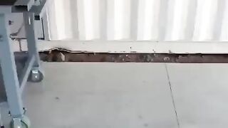 Вот так стол должен быть в каждом гараже.