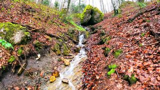 Relaxing nature sounds - gentle sounds, relaxation, meditation