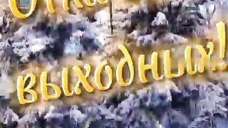 Видео открытка
