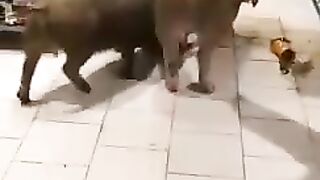 Пришли в магазин