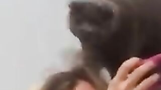 Любимое место кота