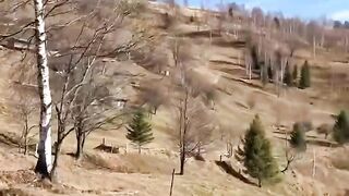 Карпаты осенью, Яремче