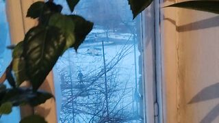 Мой полисадник