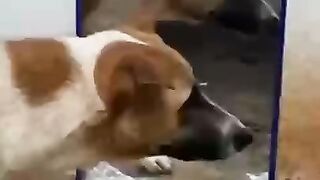 кто ты